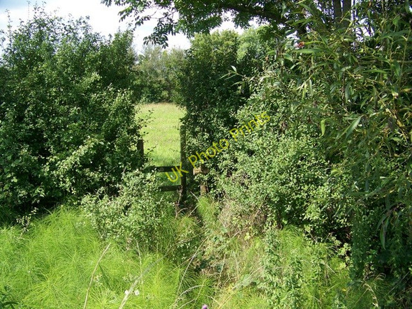 Photo 6"x4" Footpath near Minety Lower Moor\/SU0291 c2009