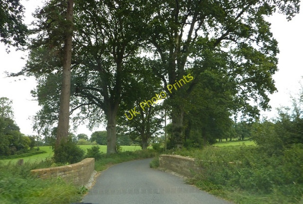 Photo 6"x4" Bridge over Trent Brook Gore\/ST5918 c2009