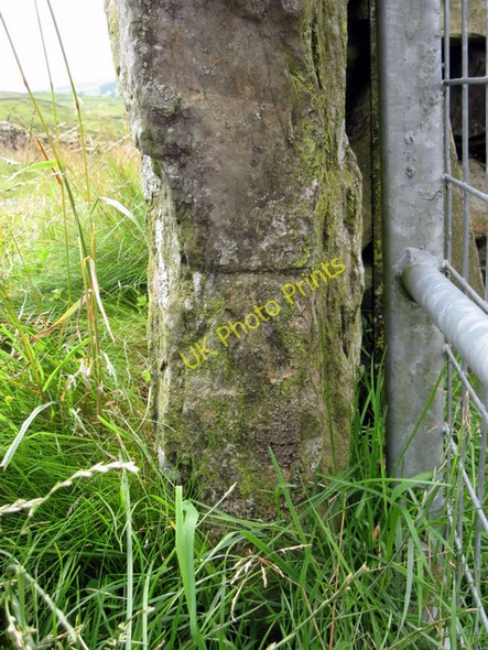 Photo 6"x4" Bench mark alongside Long Lane Studfold\/SD8170 c2009