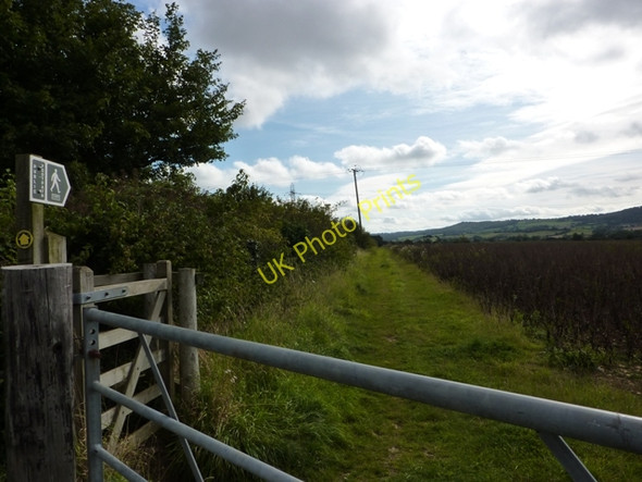 Photo 6"x4" Footpath to Wyke Farm Bradford Abbas c2009