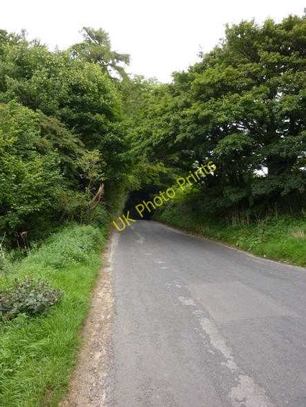 Photo 6"x4" Underdown Hollow Bradford Abbas c2009