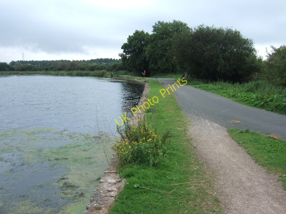 Photo 6"x4" Canal and cycle path at Matford Lime Kilns Exminster c2009