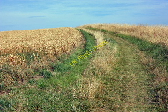 Photo 6"x4" The Headland Way North Landing c2009