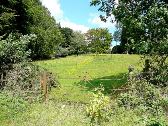 Photo 6"x4" Footpath to How Caple Crossway\/SO6131 c2009