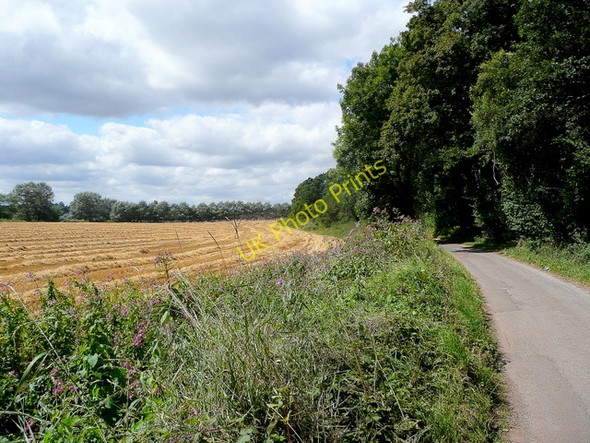 Photo 6"x4" Lane and How Caple wood Crossway\/SO6131 c2009