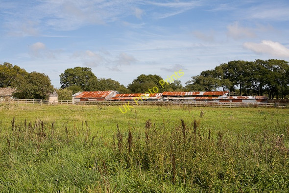 Photo 6"x4" Dilapidated barn at Swaylett Farm Golden Hill\/SZ2695 c2009