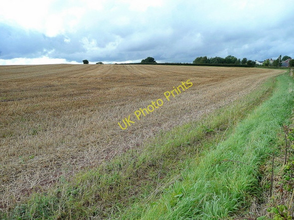 Photo 6"x4" Harvested field at Bromsash Bromsash c2009