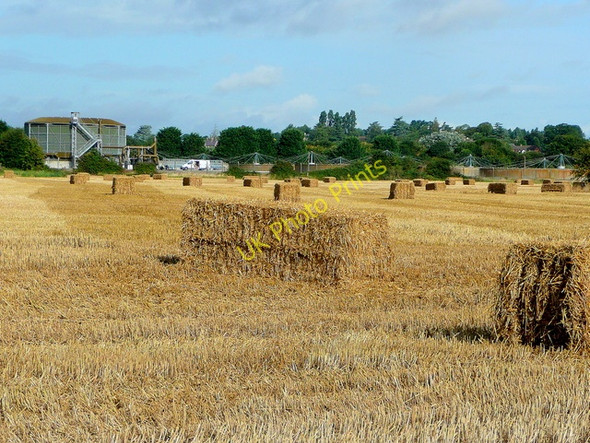 Photo 6"x4" Harvested field at Rotherwas Hereford c2009