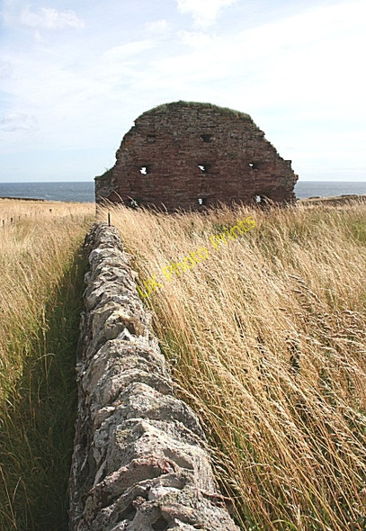 Photo 6"x4" St Murdoch's Chapel Red Head\/NO7047 c2009
