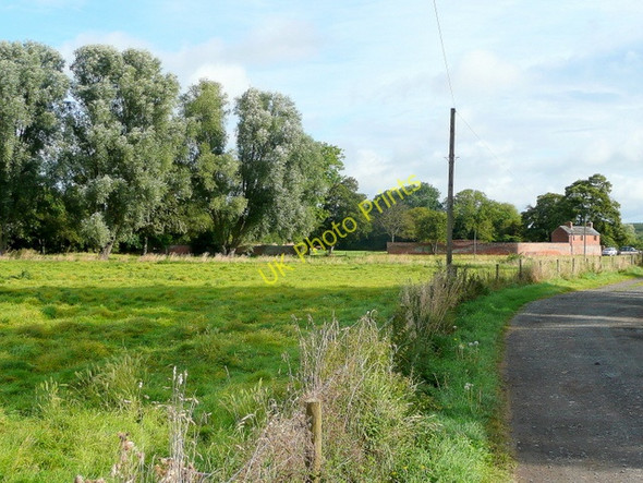 Photo 6"x4" Track towards the river Hereford c2009