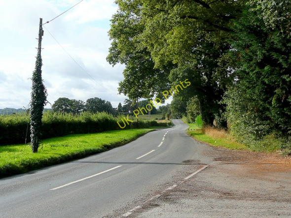 Photo 6"x4" B4399 towards Holme Lacy Dinedor c2009