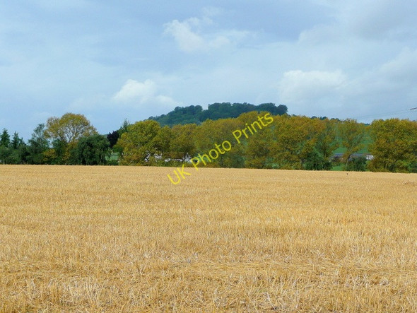 Photo 6"x4" View to Dinedor Holme Lacy c2009