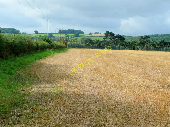 Photo 6"x4" Footpath by a stubble field Holme Lacy c2009