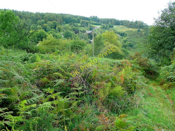 Photo 6"x4" Edge Hills Collafield c2009