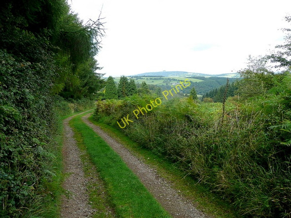 Photo 6"x4" Track to Edge Hills Collafield c2009