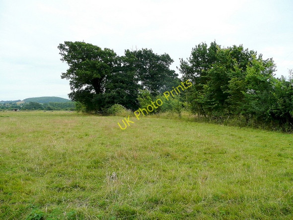 Photo 6"x4" Pasture south of Sheepway Sheepway c2009