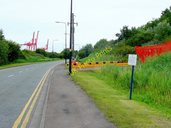 Photo 6"x4" Marsh Lane Sheepway c2009