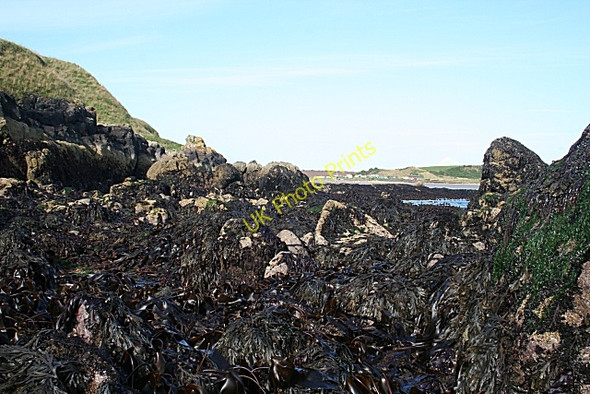Photo 6"x4" Low Tide Rocks Inverkeilor c2009