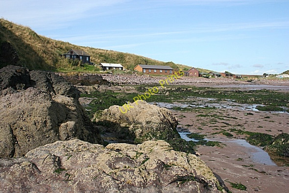 Photo 6"x4" The Corbie (South) Inverkeilor c2009