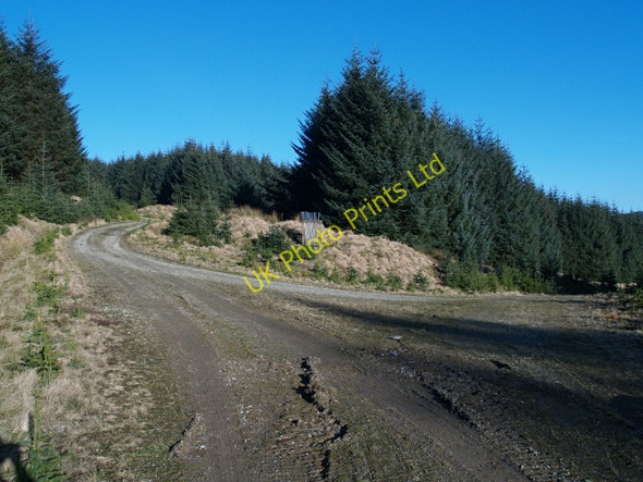 Photo 6"x4" Track junction, Upper Howcleuch Forest March\/NS9914 c2008