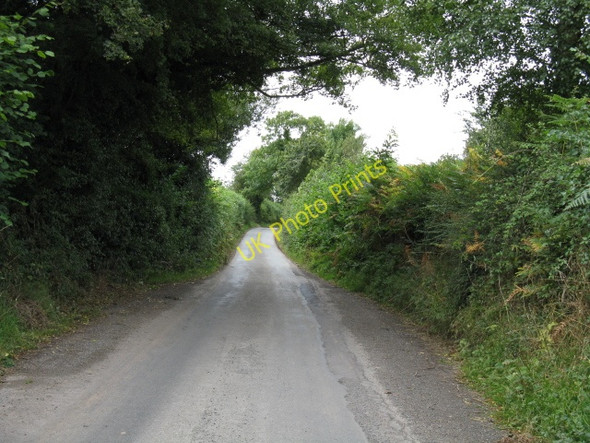 Photo 6"x4" Lane To The Hundred Hundre c2009