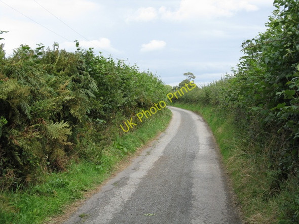 Photo 6"x4" Lane To Upper Withers Hundre c2009