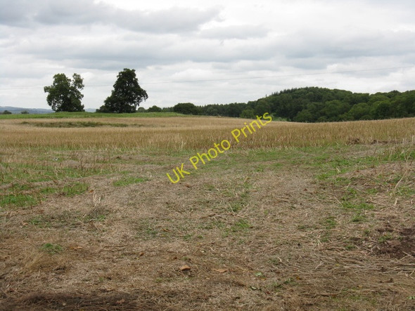 Photo 6"x4" Stubble Field Near North Lodge Ashton\/SO5164 c2009