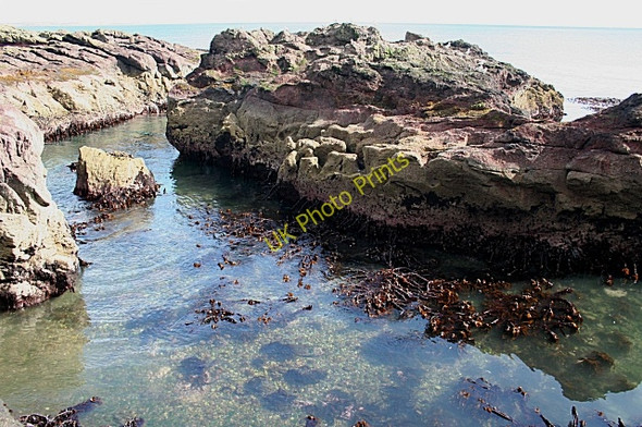 Photo 6"x4" The Horseshoe at Low Tide Lunan\/NO6851 c2009