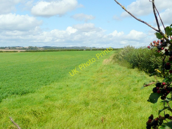 Photo 6"x4" Fields between Ross-on-Wye and Weston Ross-on-Wye c2009