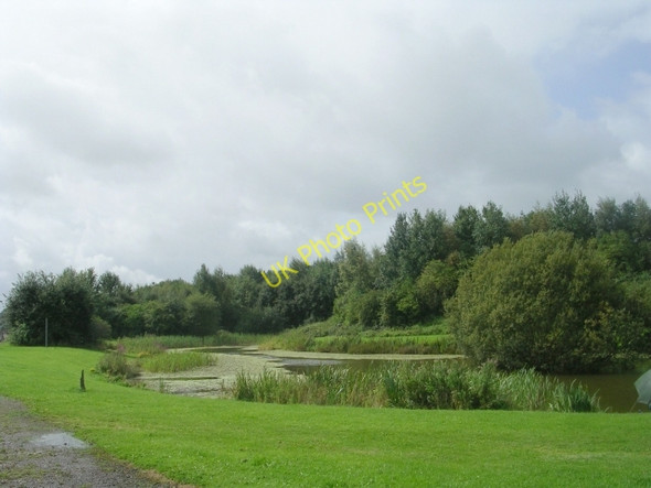 Photo 6"x4" Woodlands Country Park Lake - Mill Carr Hill Road Oakenshaw\/SE1727 c2009
