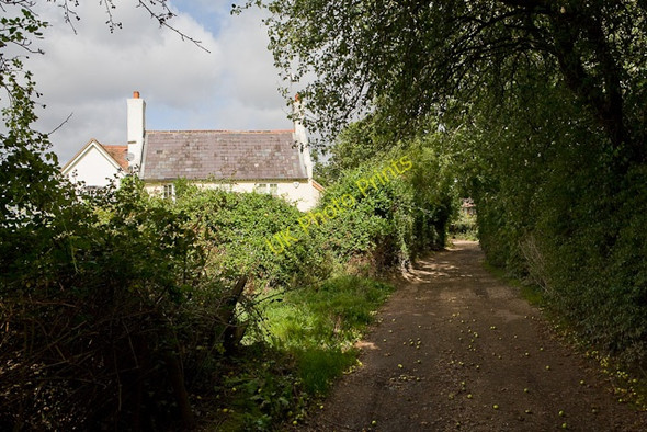 Photo 6"x4" Marl Cottage, Marl Lane Fordingbridge c2009