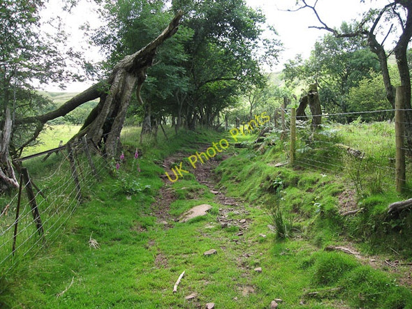 Photo 6"x4" Footpath to Gospel Pass Gospel Pass c2009