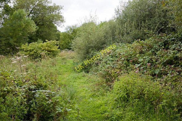 Photo 6"x4" Footpath with blackberries Fordingbridge c2009