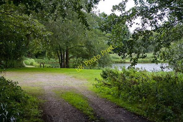 Photo 6"x4" Pond beside Sweatfords Water Fordingbridge c2009