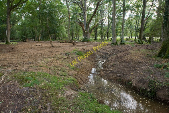 Photo 6"x4" Warwickslade Cutting: the cutting is plugged Bank\/SU2807 c2009