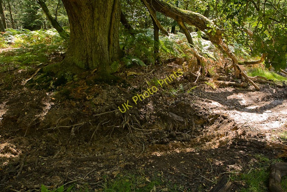 Photo 6"x4" Warwickslade Cutting: section dug out Bank\/SU2807 c2009