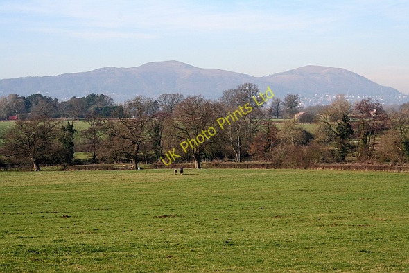 Photo 6"x4" Horse Pasture near Hanley Hall Gilver's Lane c2008