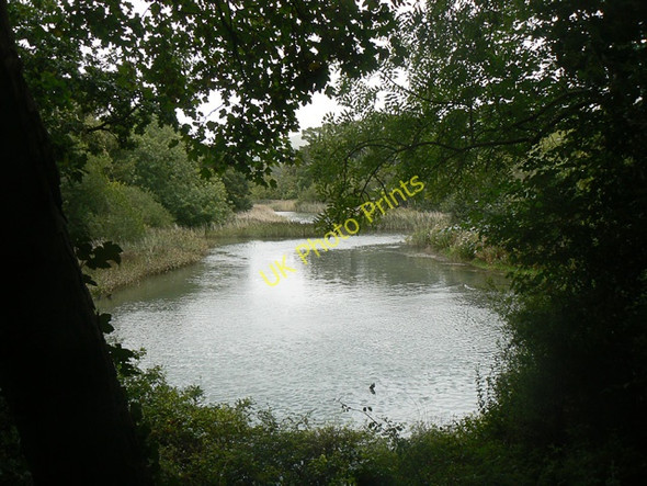 Photo 6"x4" The Spinneys RSPB reserve at Aber Ogwen Tal-y-bont\/SH6070 c2009