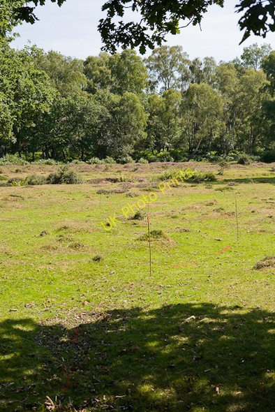 Photo 6"x4" Warwickslade Cutting: a planned meander Bank\/SU2807 c2009