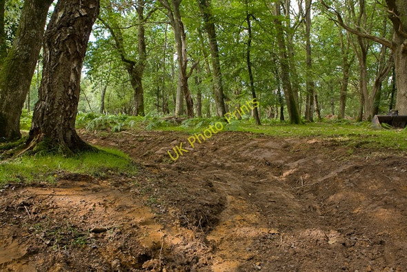 Photo 6"x4" Warwickslade Cutting: the new stream takes shape Bank\/SU2807 c2009
