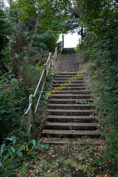 Photo 6"x4" Seldom-used steps rising to the A31 Ringwood\/SU1505 c2009