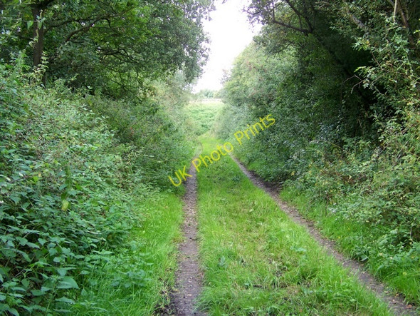 Photo 6"x4" Dismantled railway line, Pentridge Farm Hinton St Mary c2009