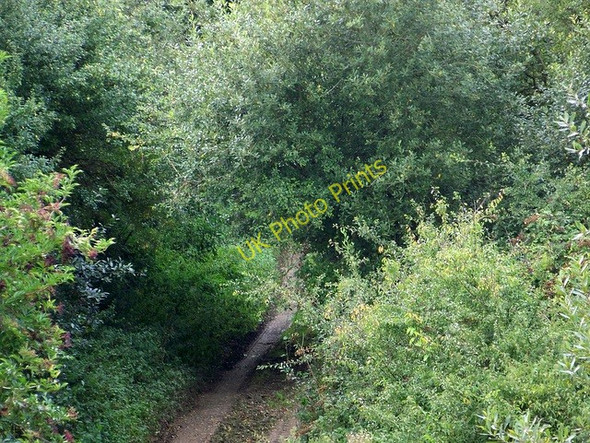 Photo 6"x4" Dismantled railway line, Pentridge Farm Pleck\/ST7717 c2009