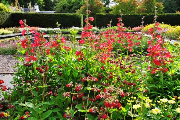 Photo 6"x4" Ornamental pond Garrachan c2009