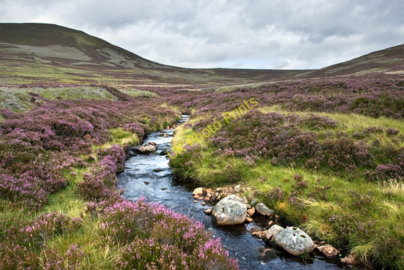 Photo 6"x4" The upper reaches of Glen Feardar Bhonic c2009