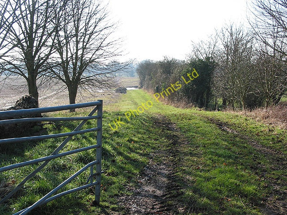 Photo 6"x4" Farm track near Malswick Kent's Green c2008