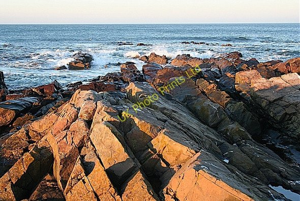 Photo 6"x4" Knock Head Whitehills\/NJ6565 c2008