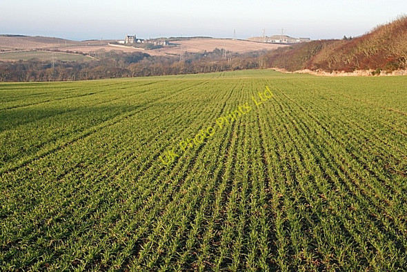 Photo 6"x4" Fields at Corskie Banff\/NJ6864 c2008