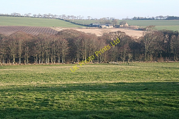 Photo 6"x4" Fernie Brae Keilhill c2008