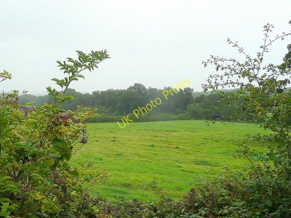 Photo 6"x4" View over the hedge Little London\/SO7018 c2009